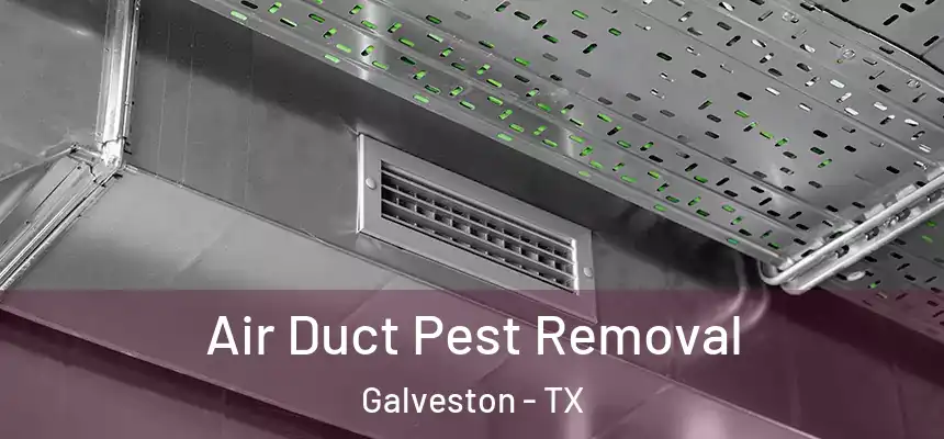 Air Duct Pest Removal Galveston - TX