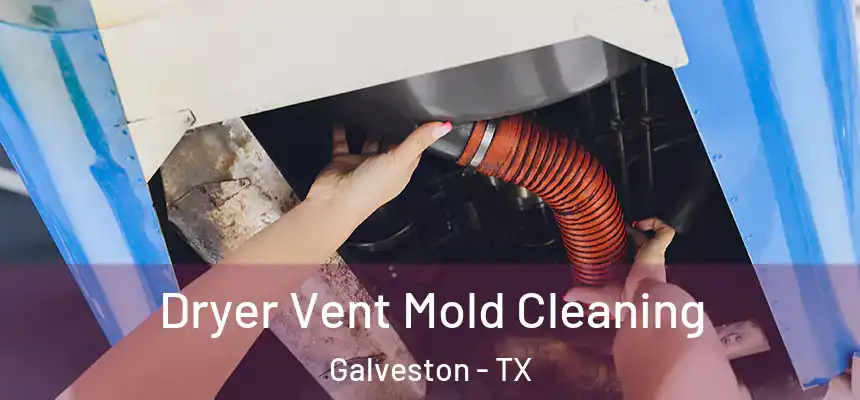  Dryer Vent Mold Cleaning Galveston - TX