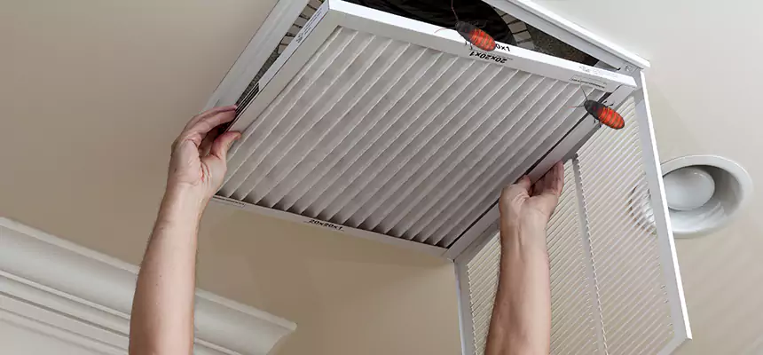 Preventive Cockroach-Proofing for Ducts in Galveston