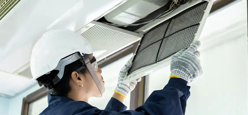 Our Lint Trap Cleaning Service Services in Galveston, TX