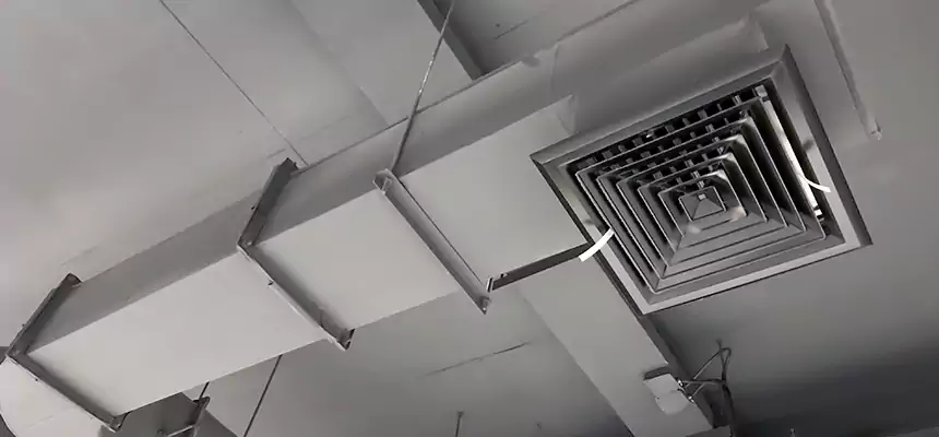 Our Pest Removal From Ducts Services in Galveston, TX