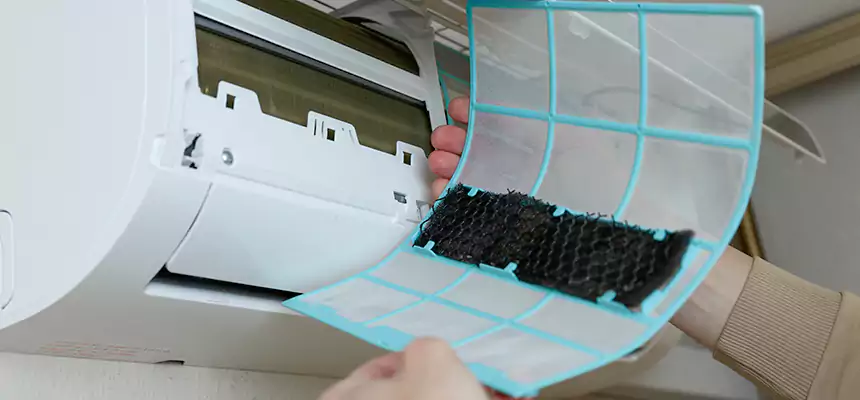 Gentle Ductwork Odor-Control Pet Dander Duct Cleaning in Galveston, TX