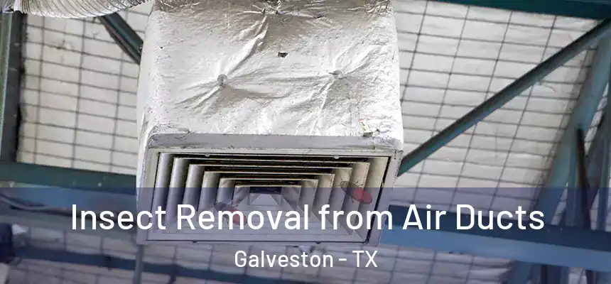Insect Removal from Air Ducts Galveston - TX