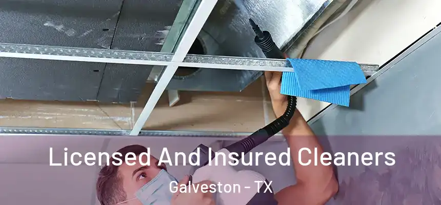 Licensed And Insured Cleaners Galveston - TX