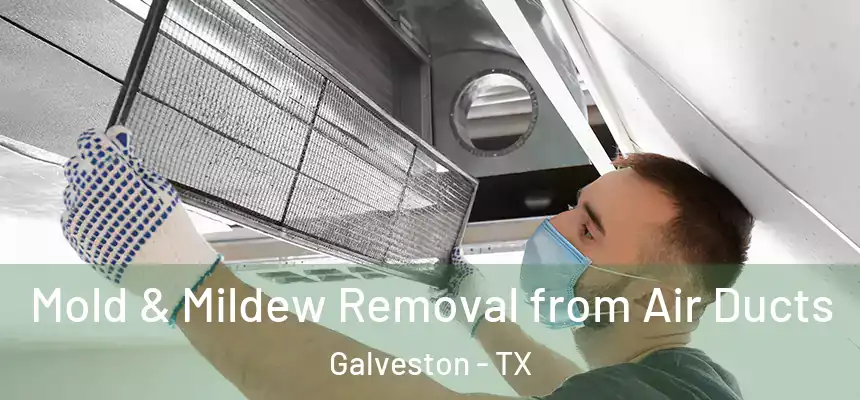 Mold & Mildew Removal from Air Ducts Galveston - TX