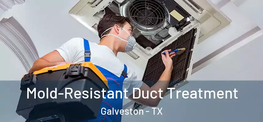 Mold-Resistant Duct Treatment Galveston - TX