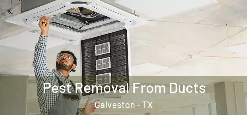Pest Removal From Ducts Galveston - TX