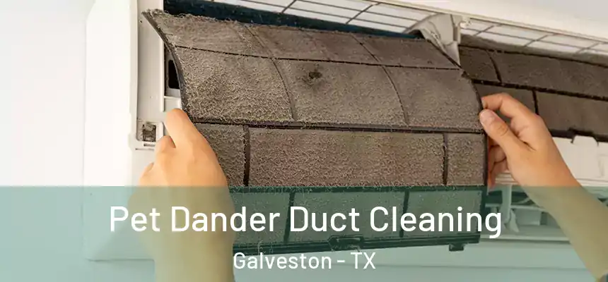  Pet Dander Duct Cleaning Galveston - TX