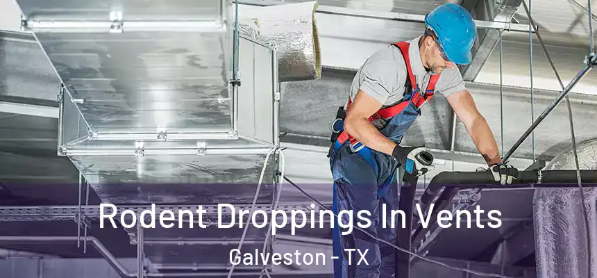  Rodent Droppings In Vents Galveston - TX