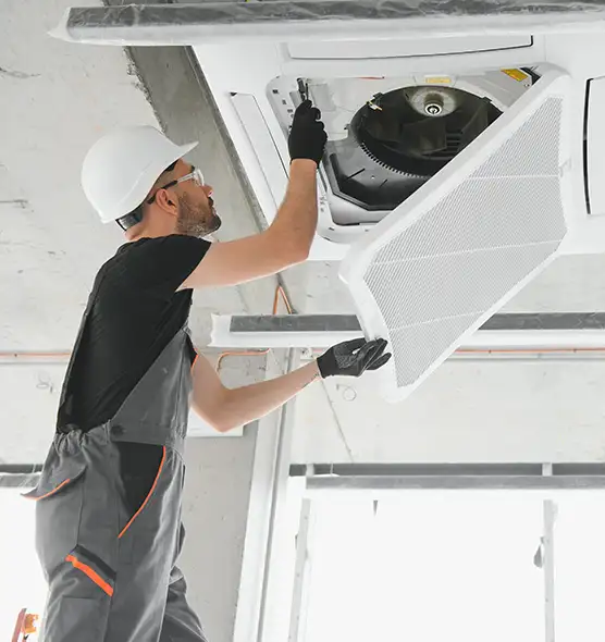 About Air Duct Rodent Removal in Galveston, TX