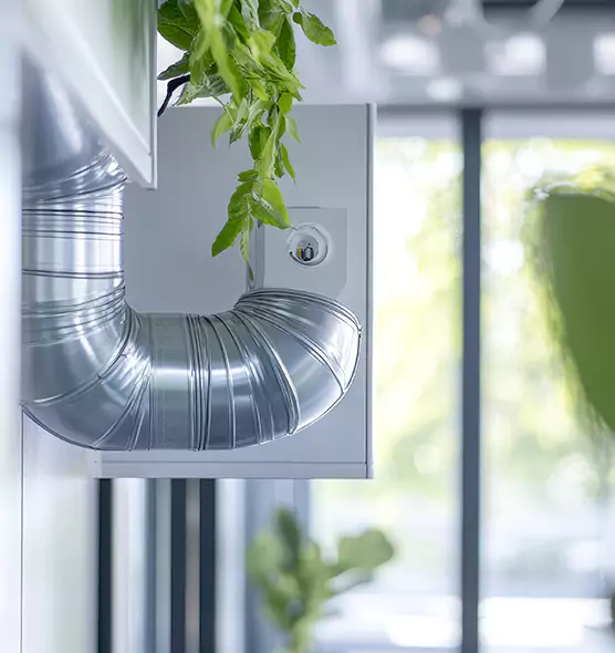 Professional Eco-Safe Dryer Vent Cleaning in Galveston, TX