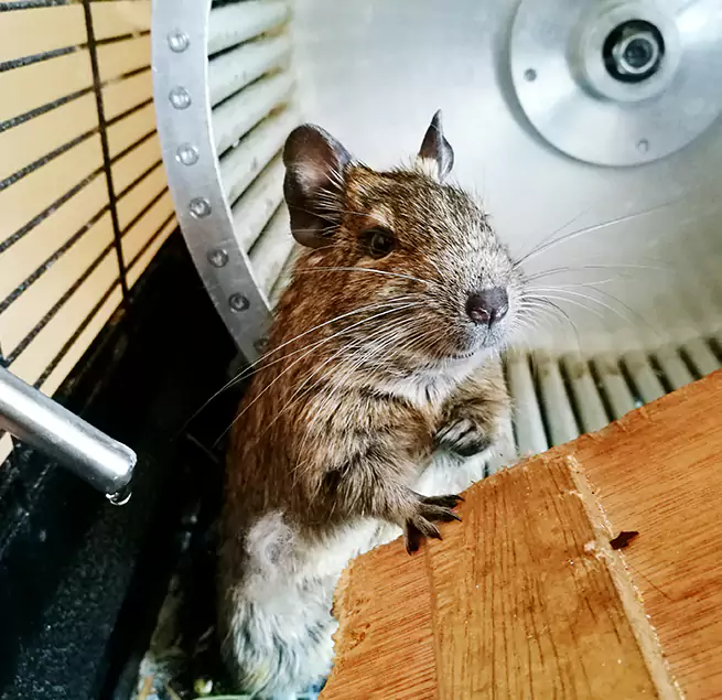 Why Homeowners & Businesses Trust Us Galveston, TX?