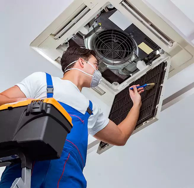 Why Homeowners & Businesses Trust Us in Galveston, TX