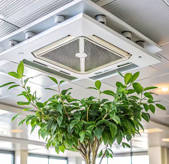 Why Homeowners & Businesses Trust Us in Galveston, TX?