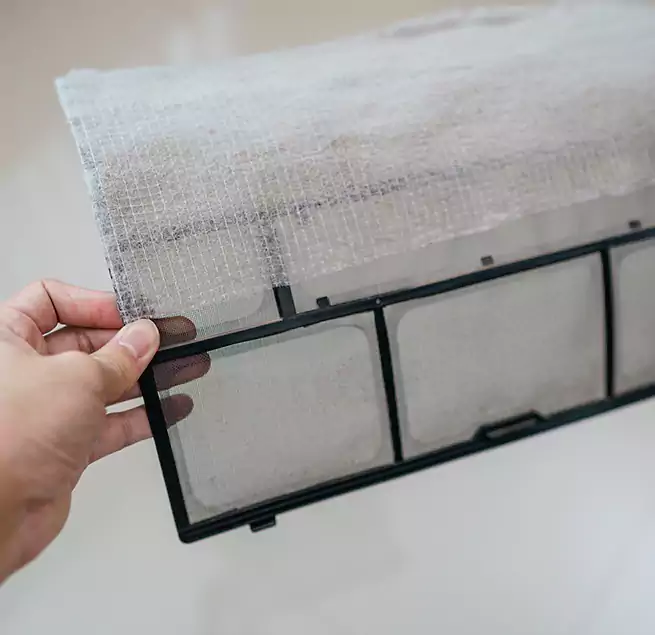 Why Homeowners & Businesses Trust Us in Galveston, TX?