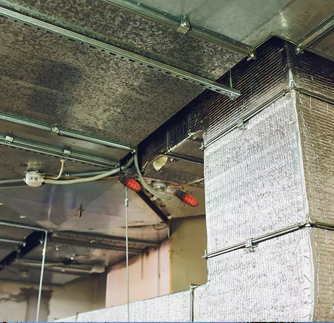 Why Homeowners & Businesses Trust Us Galveston, TX?