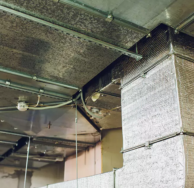 Why Homeowners & Businesses Trust Us in Galveston, TX?